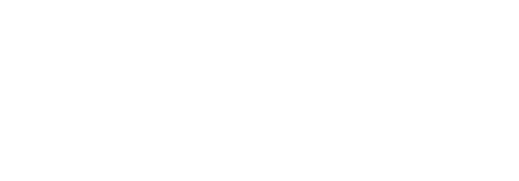 Paragon Health IT Logo - White